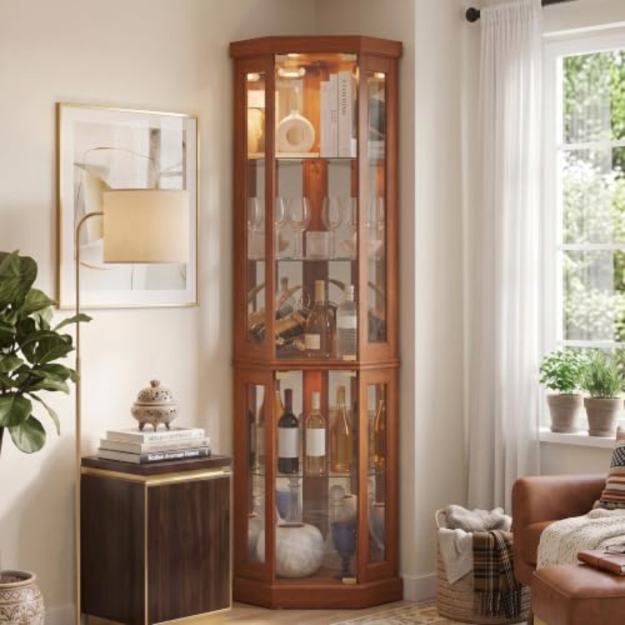Corner curio cabinet for livin - Storage review and price